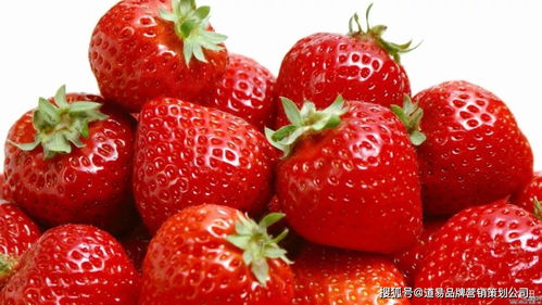 食品品牌營(yíng)銷策劃公司 以消費(fèi)者洞察為核心，驅(qū)動(dòng)品牌價(jià)值增長(zhǎng)